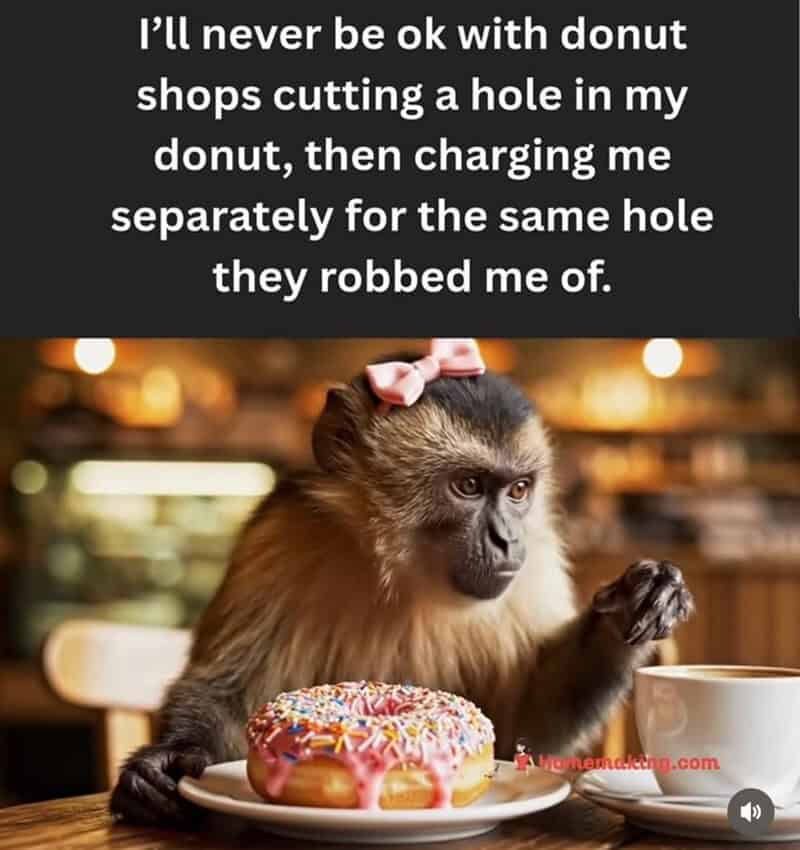 A cynical funny animal meme featuring a monkey holding a donut, complaining about the scam of donut shops selling "donut holes" separately after cutting them out.