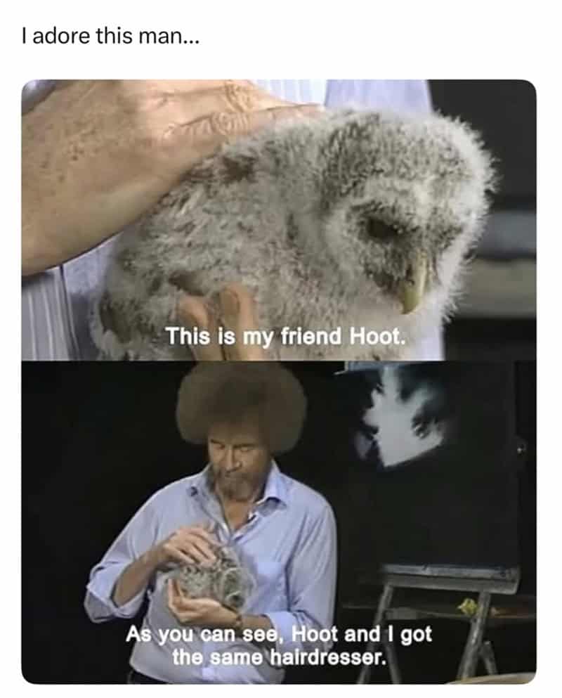 A wholesome funny animal meme pointing out that Bob Ross and his friend "Hoot" the baby owl share the exact same fluffy hairstyle.
