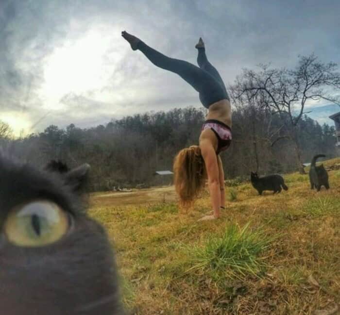 A black cat's giant eye and ear take over the frame in this funny animal photobomb, completely upstaging a woman doing a yoga handstand in a field.
