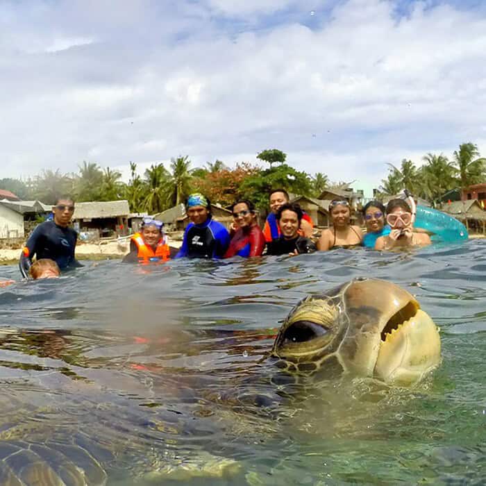 An underwater animals photobombing selfie where a sea turtle pops its head up right in front of the camera, looking like it is smiling at the group of snorkelers.