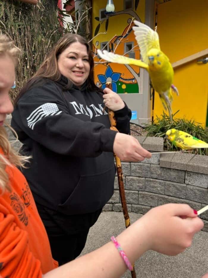 An action-packed animals photobombing moment capturing a yellow parakeet flying directly into the camera lens, blurring the shot while a woman smiles in the background.