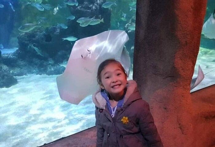 A perfectly timed animals photobombing shot at an aquarium where a stingray presses its face against the glass directly behind a smiling girl's head.