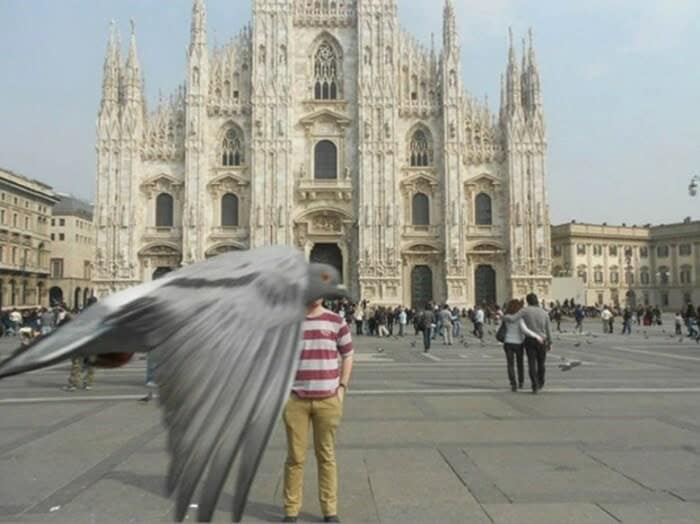 A classic travel fail animals photobombing image where a pigeon flies perfectly in front of a tourist's face, replacing their head with a bird body in front of the Milan Cathedral.