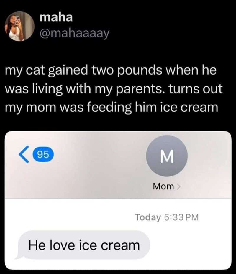 A funny cat meme tweet and text exchange revealing a cat gained two pounds because a grandmother kept feeding him ice cream.