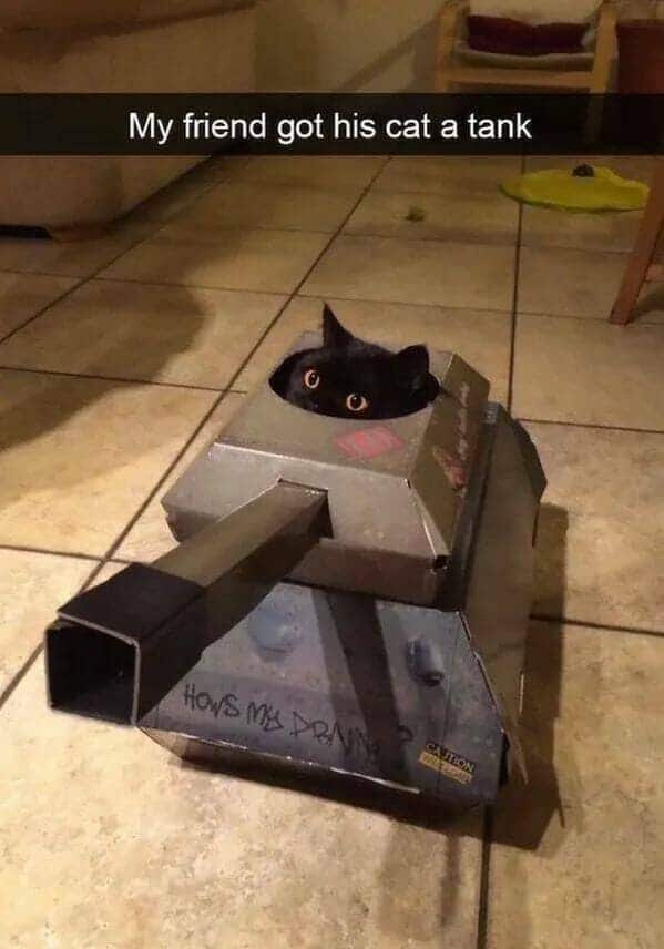 A military-grade funny cat photo showing a black cat piloting a custom-made cardboard tank, looking ready for battle in the living room.