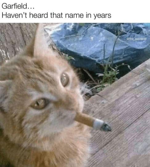 A gritty cat meme parodying a retired veteran, featuring an orange cat smoking a cigarette and reacting stoically to the name "Garfield."