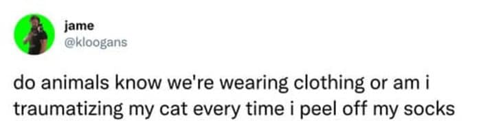 A dramatic funny cat tweet showing a black cat stretched out incredibly thin on the carpet to represent how it sees itself when it "hasn't eaten in almost an hour."