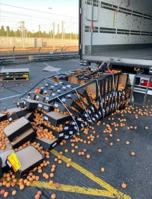 The ultimate warehouse worker bad day photo showing a massive pallet of fresh fruit in black cardboard boxes that has catastrophically tipped off the back of a semi-truck, spilling thousands of fruits onto the asphalt.