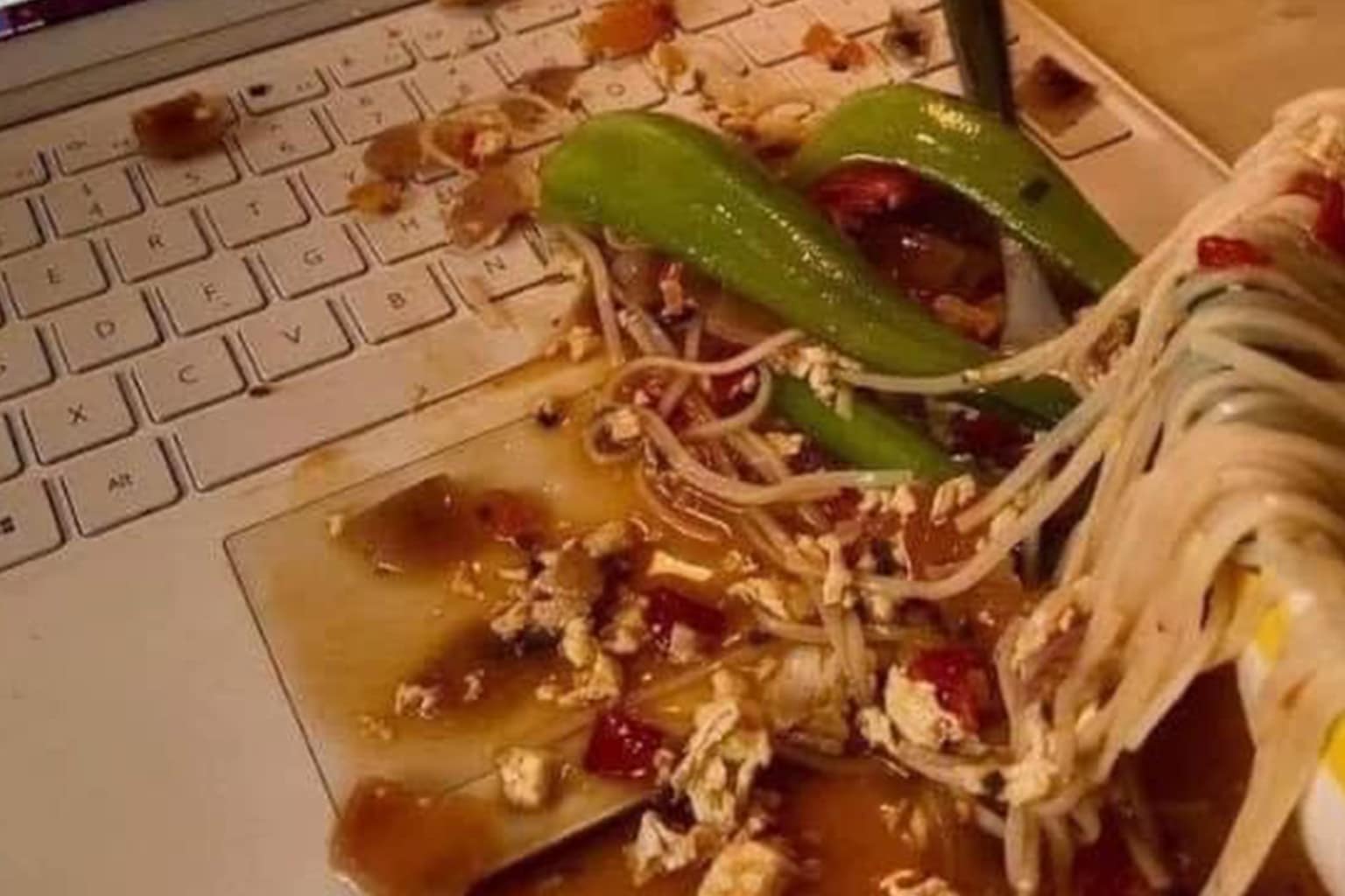 Funny fail compilation: A collage featuring the completely melted "Taco Bell" toilet, the man confidently posing on his ocean-sunken white SUV, and the perfectly timed photo of a German Shepherd jumping up to bite a leaping man's crotch.