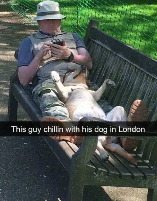 A man sitting at a park bench while his dog relaxes on its back beside him.
