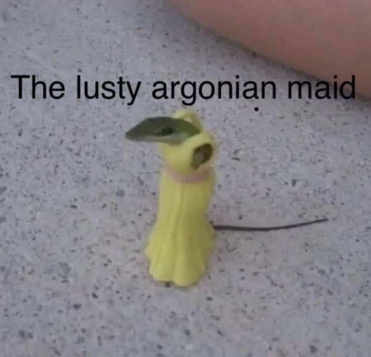 Small lizard wearing a tiny yellow doll dress with a caption referencing The Lusty Argonian Maid.