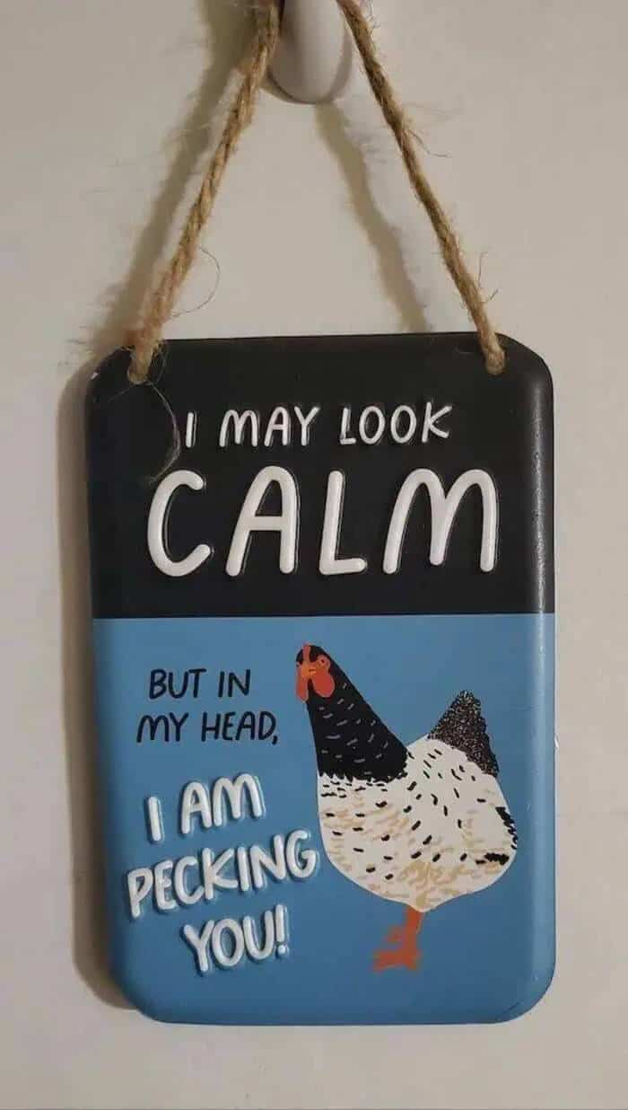 Small blue and black sign featuring a chicken with text about "pecking you" in its head.