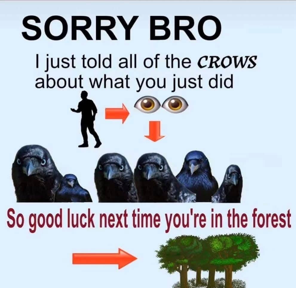 An infographic-style meme about telling a murder of crows what a friend did in the forest.