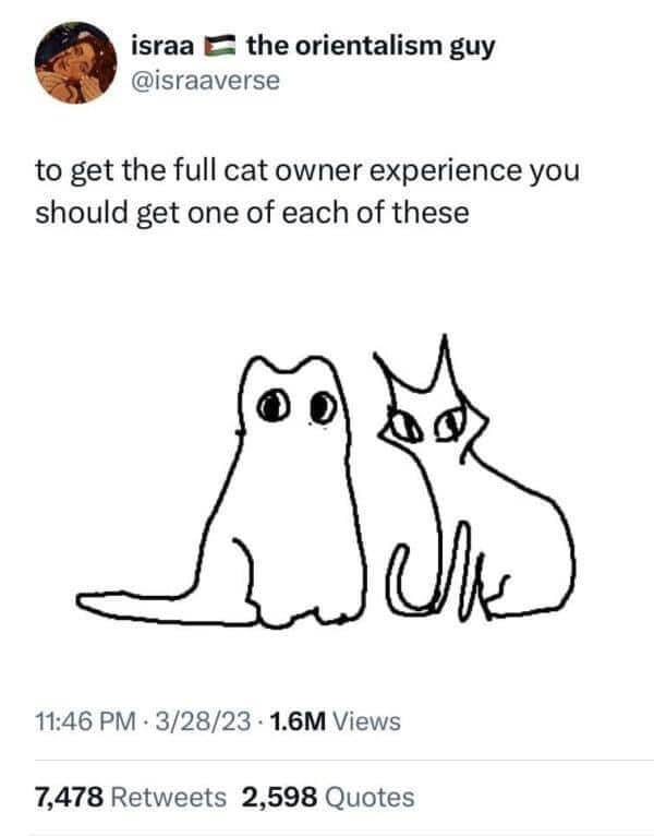 A hand-drawn sketch of two cats, one round and wide-eyed, the other thin and pointy.