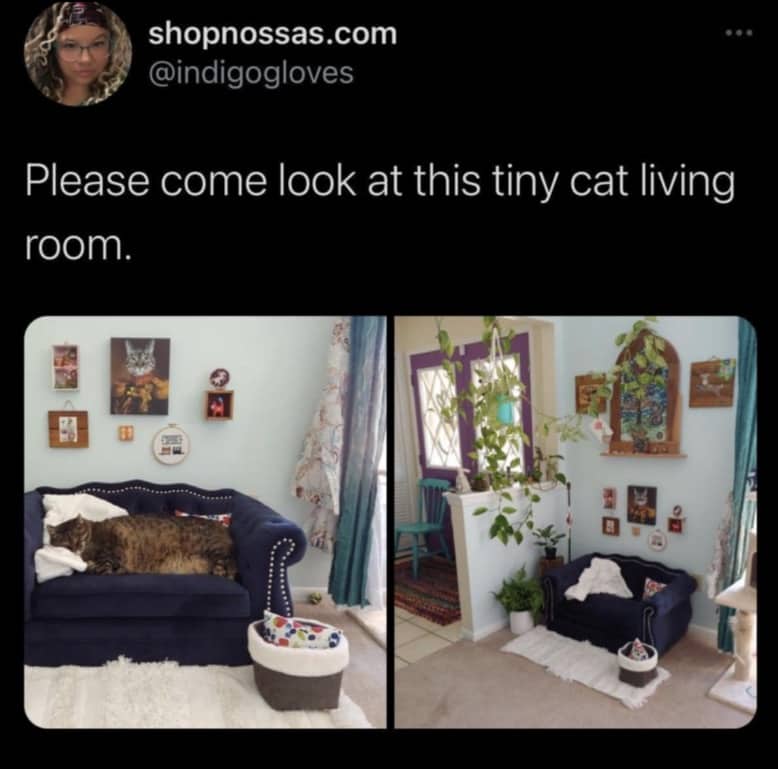 Two-panel photo of a cat sleeping in a perfectly scaled miniature living room.