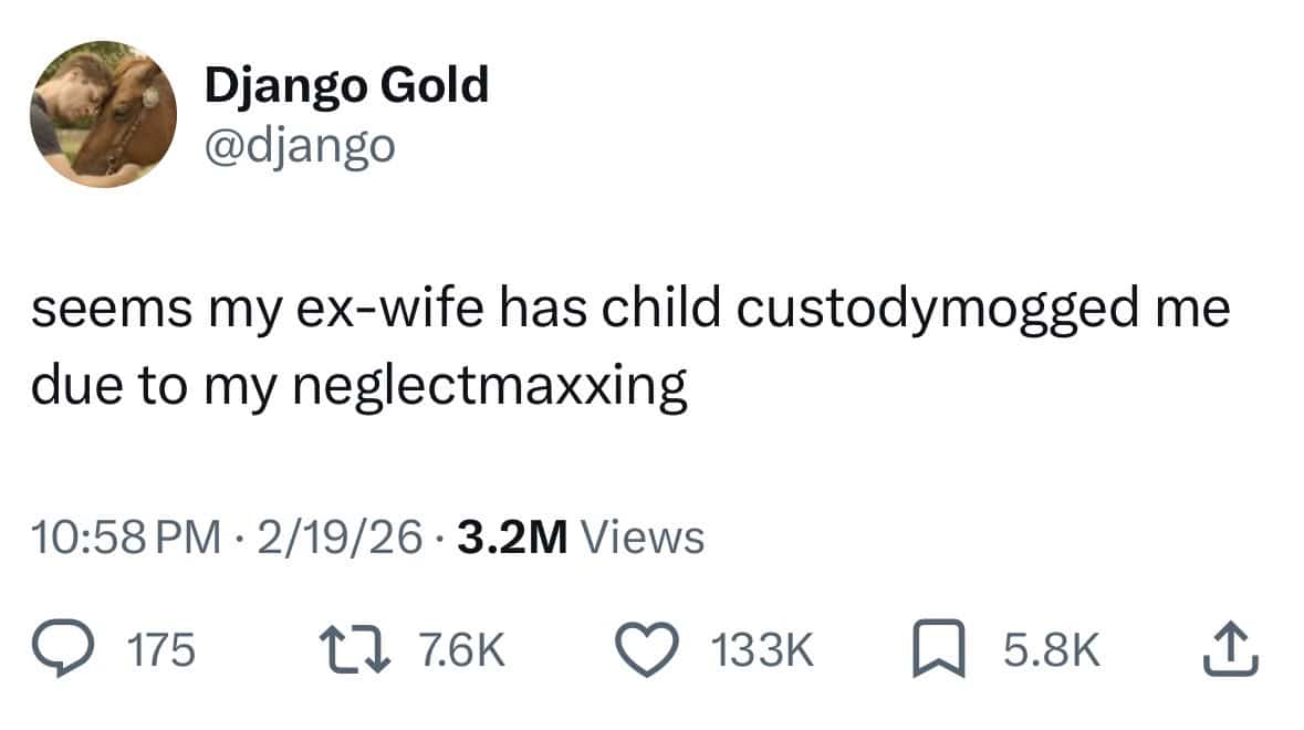 Social media post using internet slang like "custodymogged" and "neglectmaxxing" to describe a divorce situation.