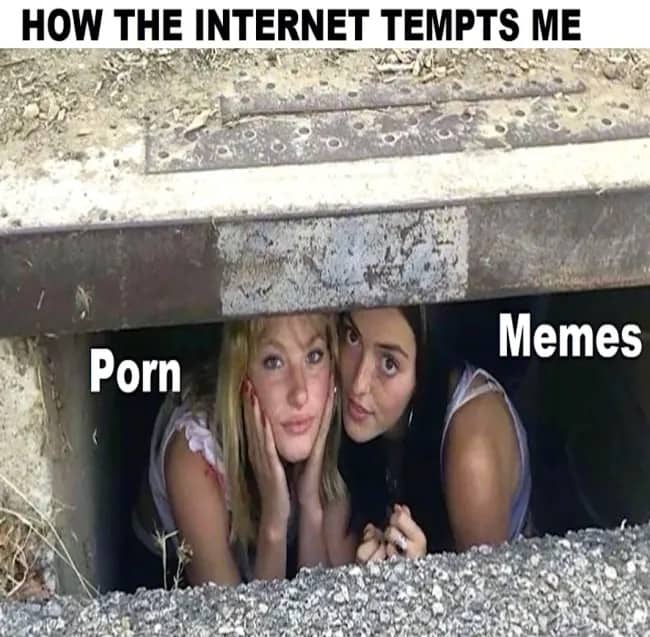 Meme showing two women peering out from a storm drain labeled with the words porn and memes.