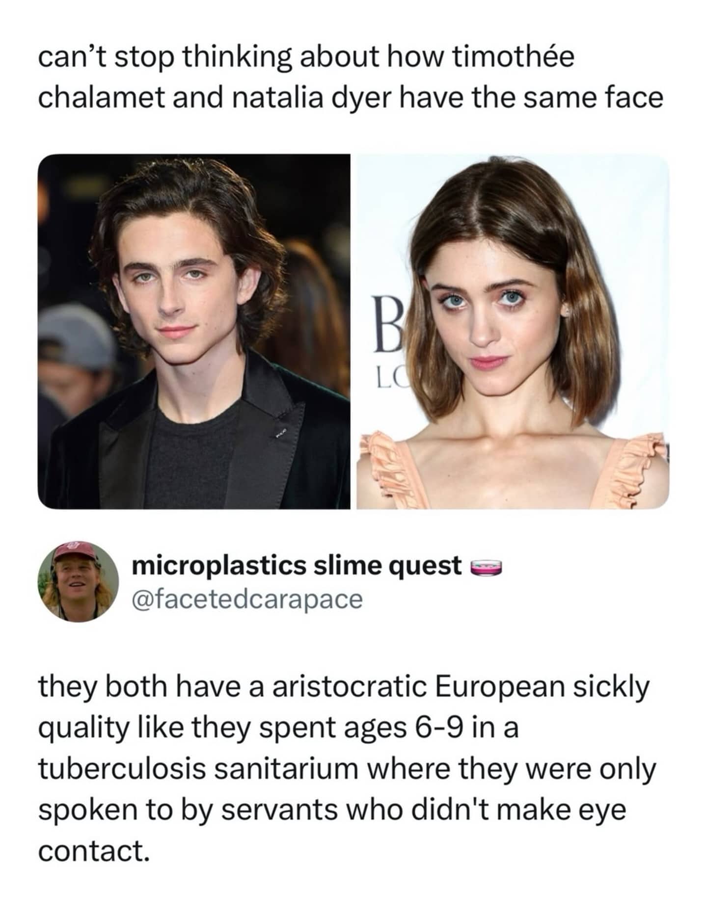 Comparison meme of Timothée Chalamet and Natalia Dyer with a funny comment about their shared aesthetic.