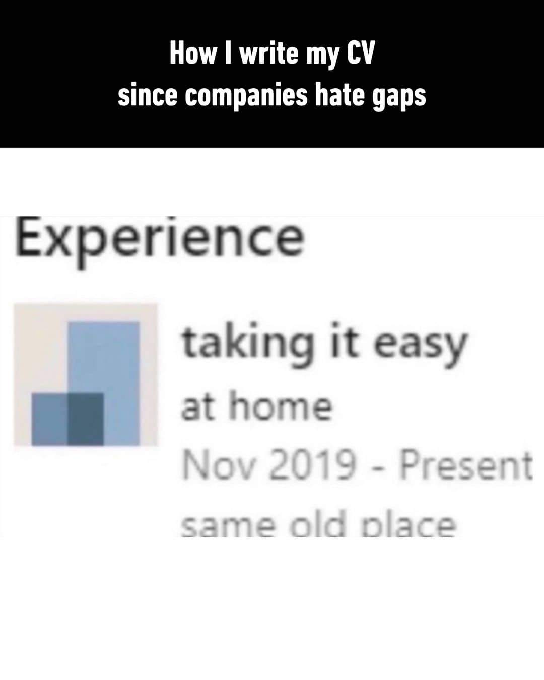 CV experience section listed as "taking it easy at home" from 2019 to the present.