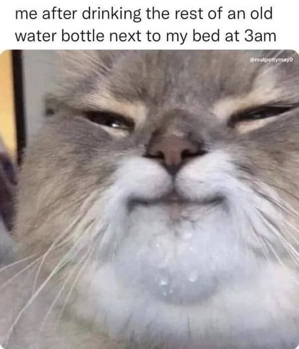A funny cat meme showing a messy face after drinking from an old water bottle at 3am.