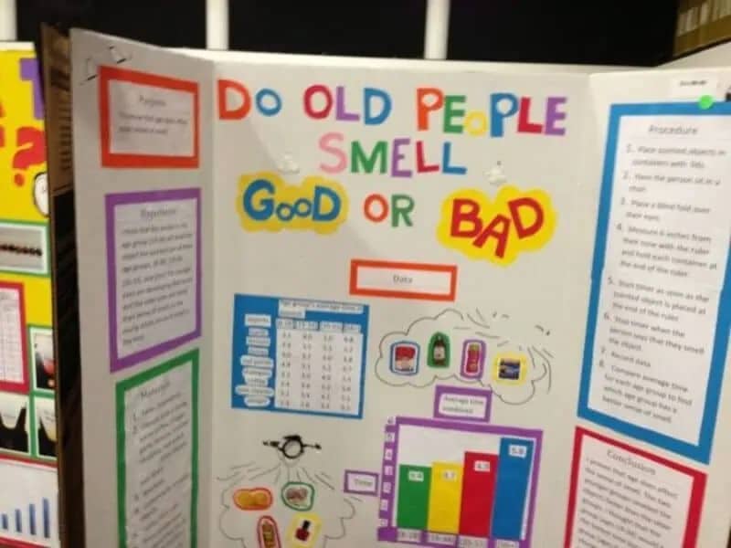 A school science fair project board titled Do Old People Smell Good or Bad with colorful charts and data.