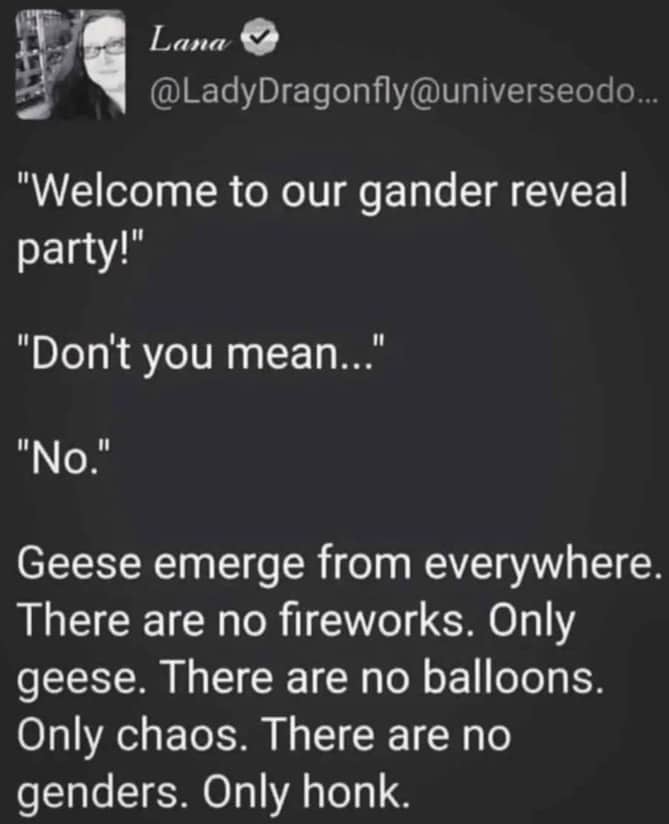 Text post describing a gander reveal party where geese emerge and cause total chaos instead of fireworks.