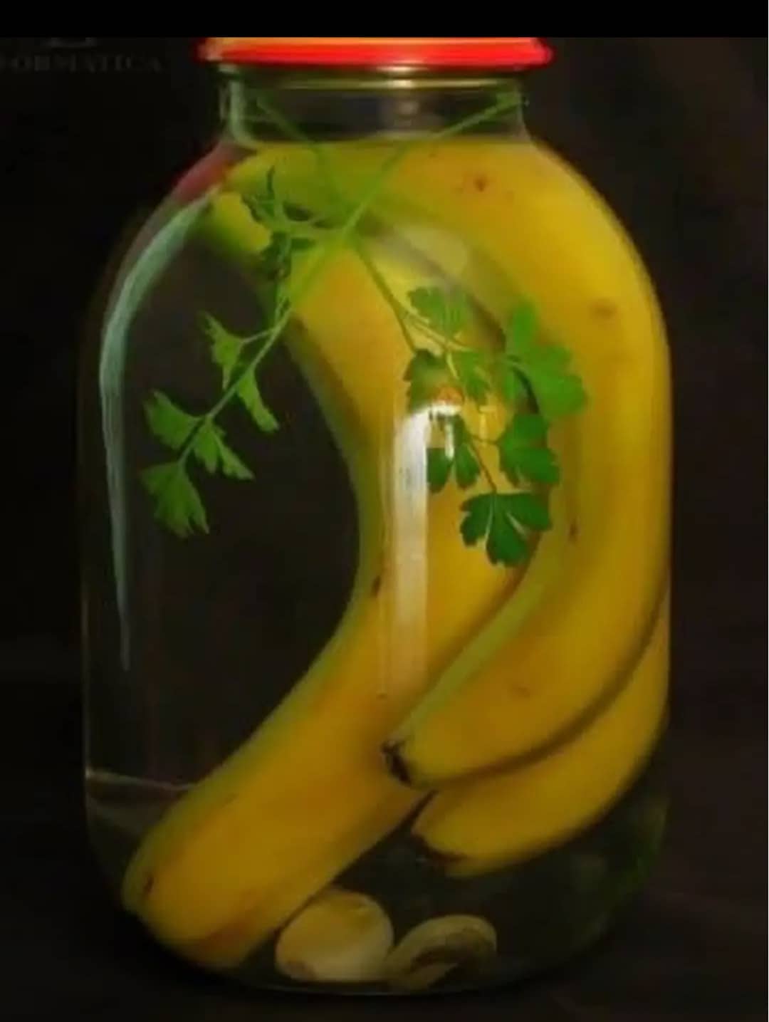 Text post comparing the danger levels of summer and winter Olympic sports athletes.