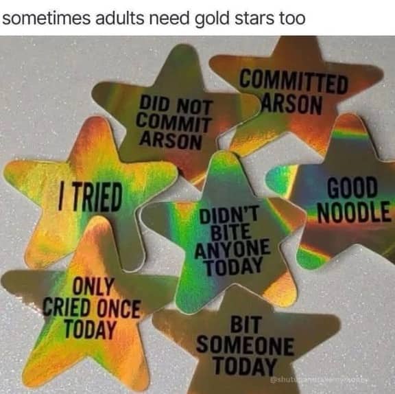 A collection of funny gold star stickers for adults with phrases like "didn't bite anyone today."