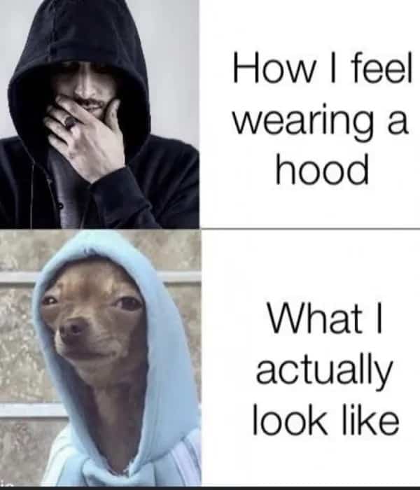 Comparison meme showing a cool hooded figure versus a small chihuahua wearing a light blue hoodie.