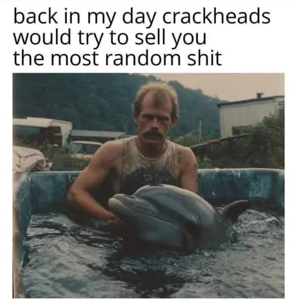 An absurdly funny meme of a man in a pool with a dolphin, captioned about random sales.