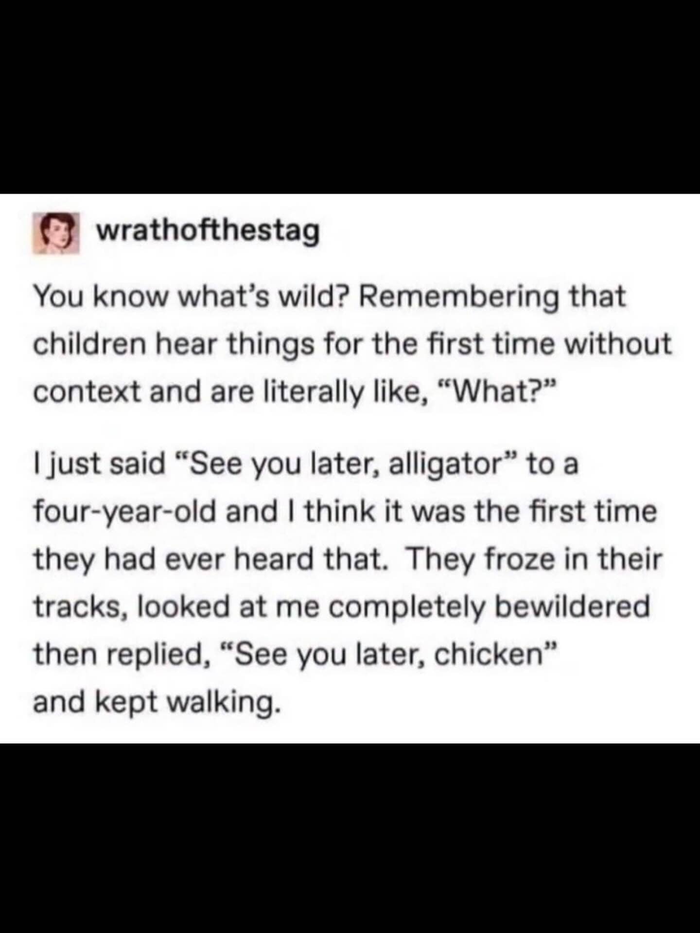 A heartwarming and funny story about a child's bewildered reaction to the phrase "See you later, alligator."