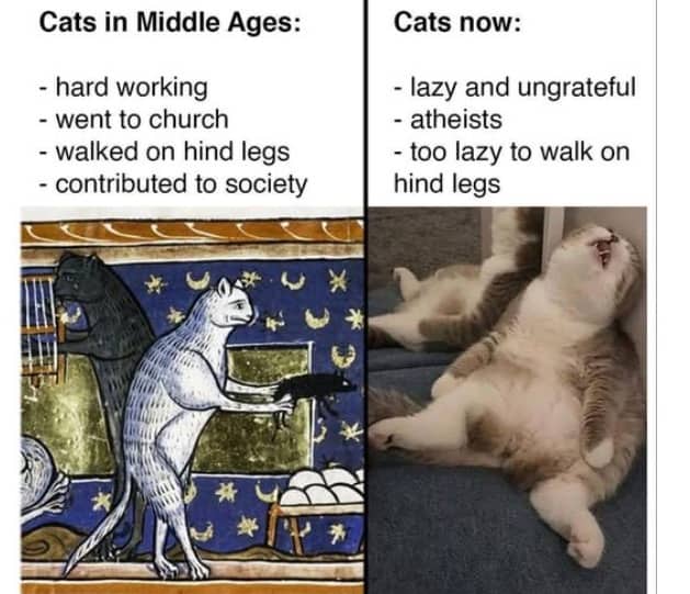 Comparison meme showing hardworking cats in the Middle Ages versus lazy, ungrateful cats in modern times.