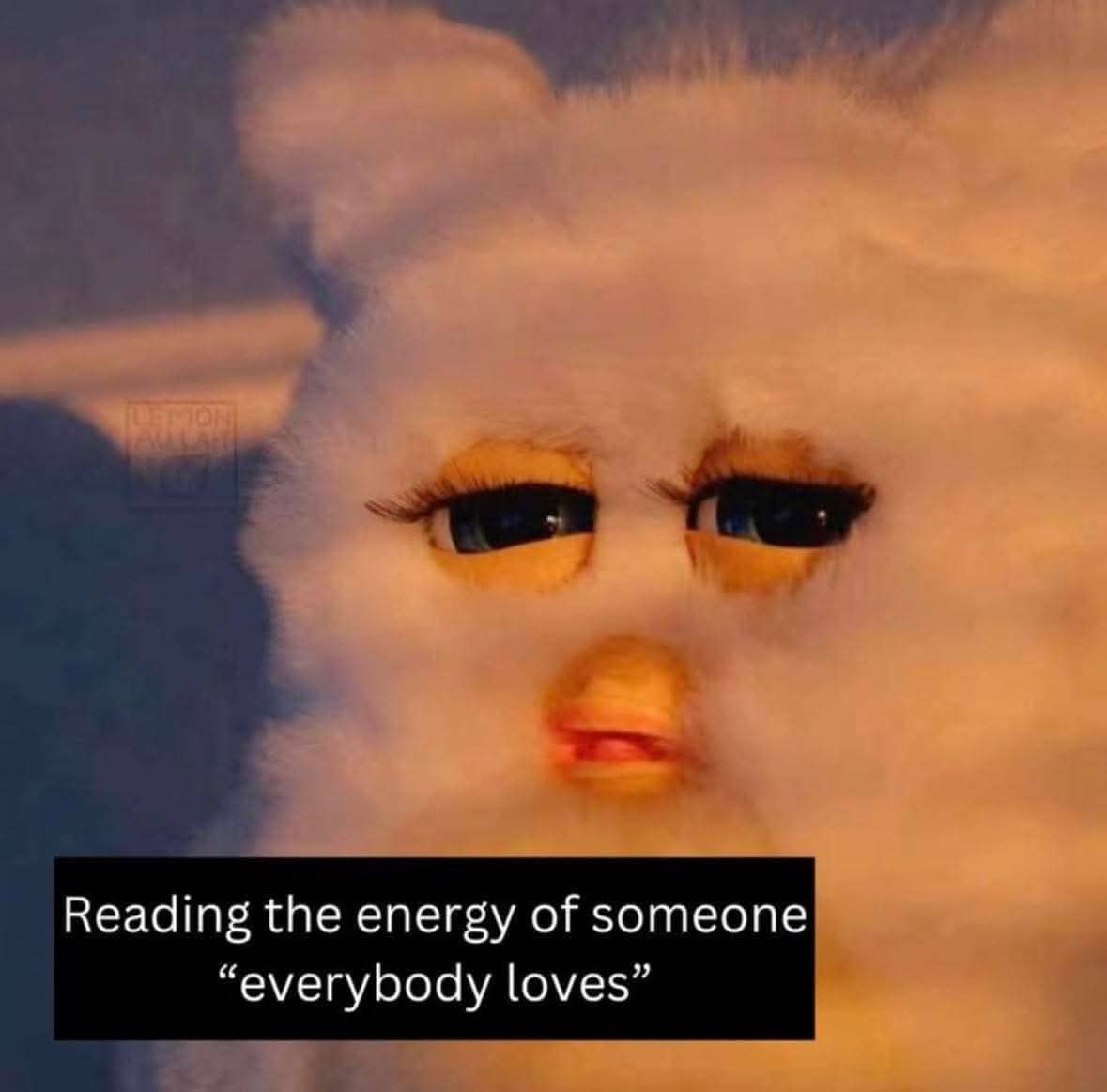 Close-up of a Furby with tired eyes used as a meme for reading someone's energy.