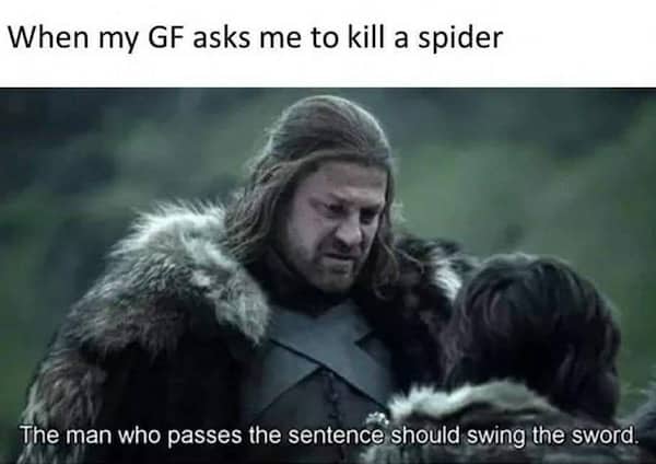 Game of Thrones meme of Ned Stark stating that the person who passes the sentence should swing the sword.