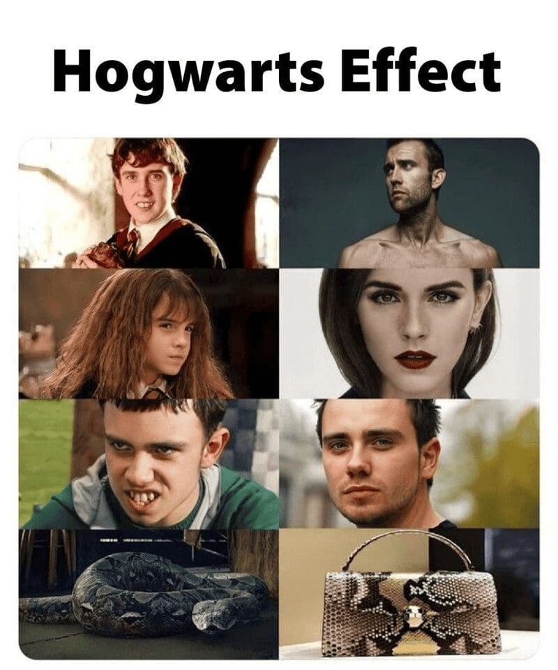 A memes about Harry Potter "glow up" chart showing Neville and Hermione getting attractive, while the snake Nagini grimly transforms into a luxury snakeskin handbag.