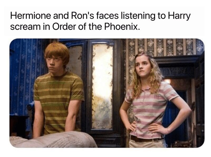 A reaction Harry Potter meme capturing the awkward, traumatized expressions of Ron and Hermione as they listen to Harry's teenage angst screaming in Order of the Phoenix.