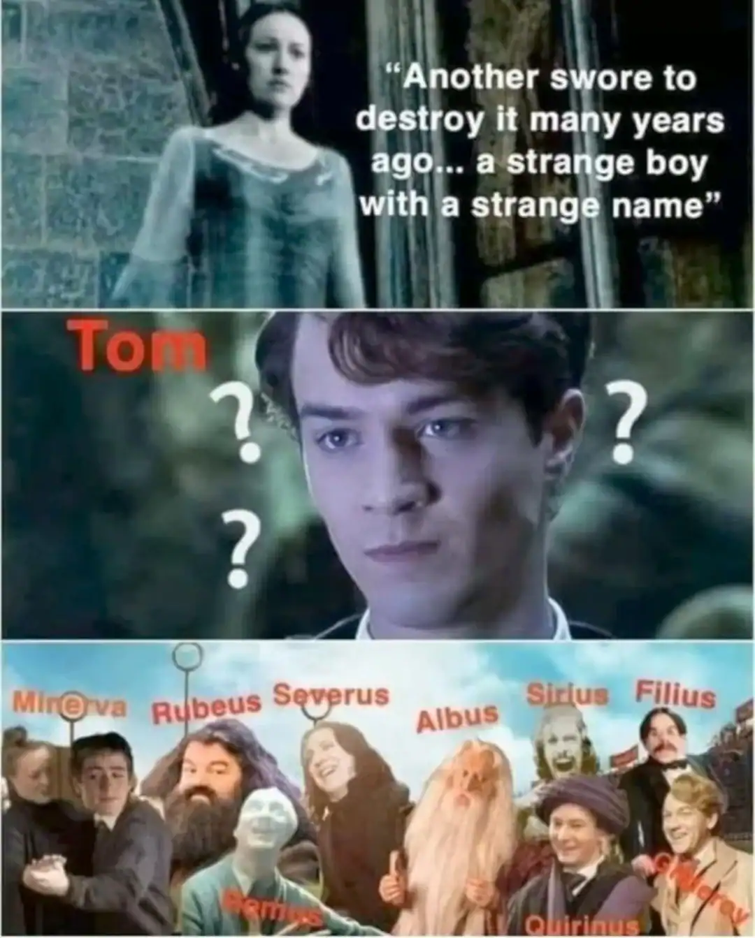 A hilarious memes about Harry Potter pointing out that Helena Ravenclaw's description of a "strange boy with a strange name" isn't helpful since literally every man at Hogwarts—from Albus to Severus—has a weird name.