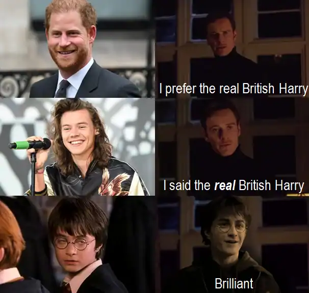 A "Perfection" format memes about Harry Potter where Magneto rejects Prince Harry and Harry Styles, only accepting Daniel Radcliffe's character as the "real British Harry."