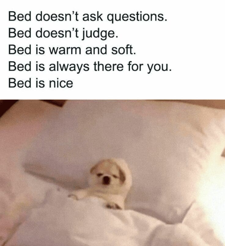 A small, cozy dog tucked into a large white bed with a list of reasons why beds are nice.