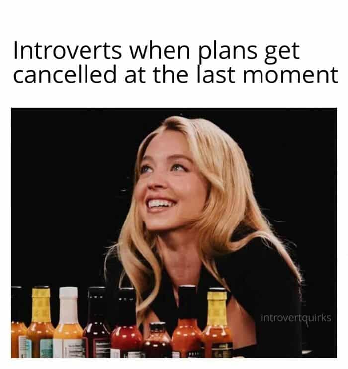 A highly relatable introvert meme showing a blissfully smiling Sydney Sweeney surrounded by hot sauces, capturing the exact euphoric look of "Introverts when plans get cancelled at the last moment".