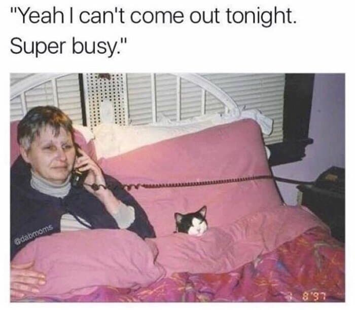 A brutally honest social anxiety meme showing a woman lying motionless in bed under pink sheets with a landline phone cord stretched across her body next to her cat, blatantly lying that she is "Super busy" and cannot go out.