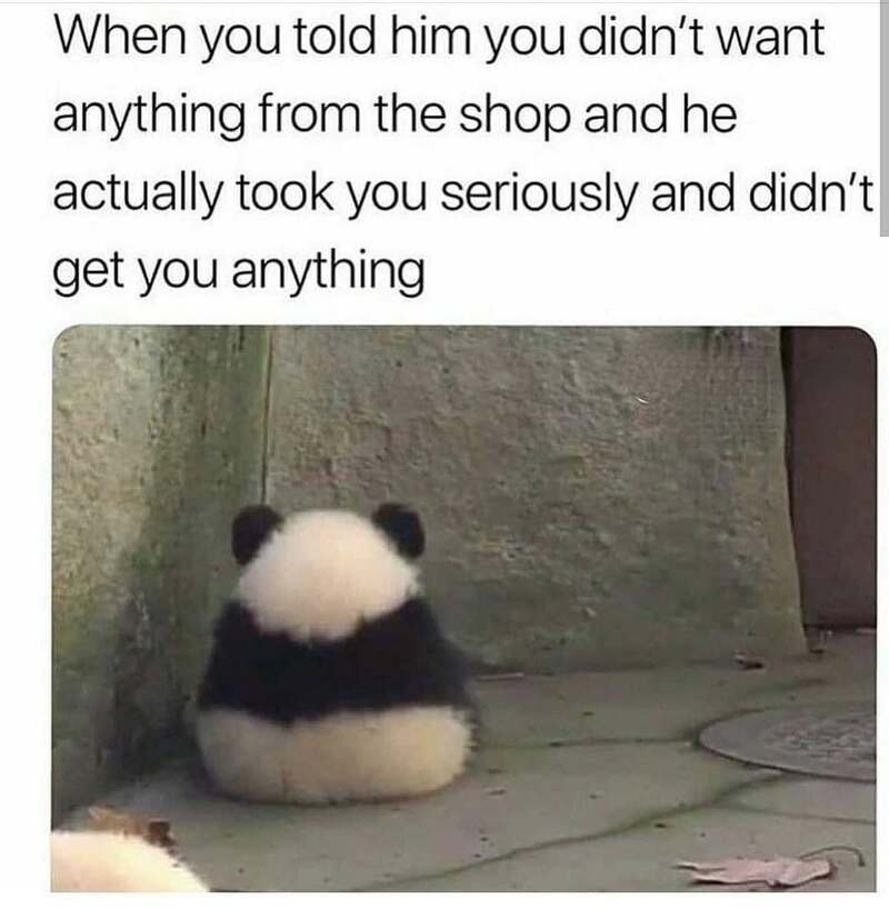 A funny marriage meme showing a sulking panda sitting with its back turned, representing a wife's reaction when her husband actually listens to "I don't want anything."