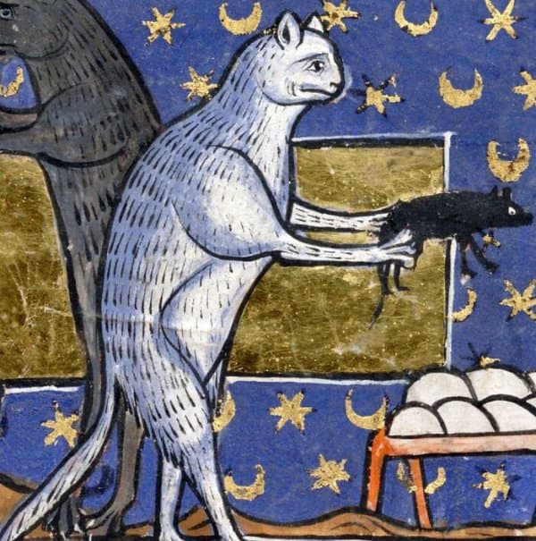 Illuminated manuscript of medieval cats showing a grey feline standing on its hind legs holding a caught black rat.
