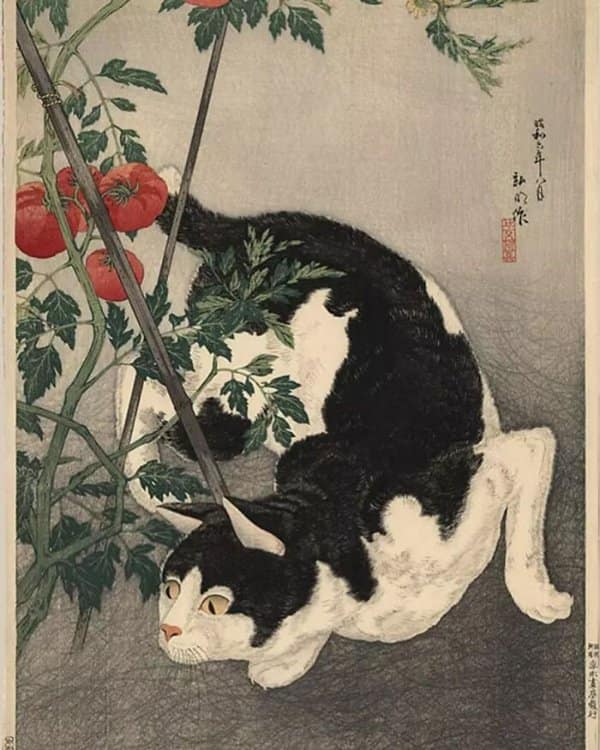 Black and white cat playfully rolling under a tomato vine in a traditional Japanese woodblock style print