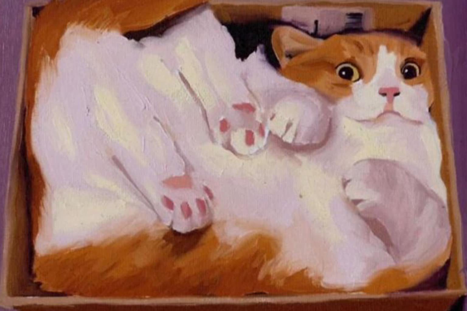 Medieval cat paintings compilation: A collage featuring an illuminated manuscript of a cat catching a rat, a heavy impasto oil painting of snuggling felines, and a classical portrait of an orange cat squished in a box.