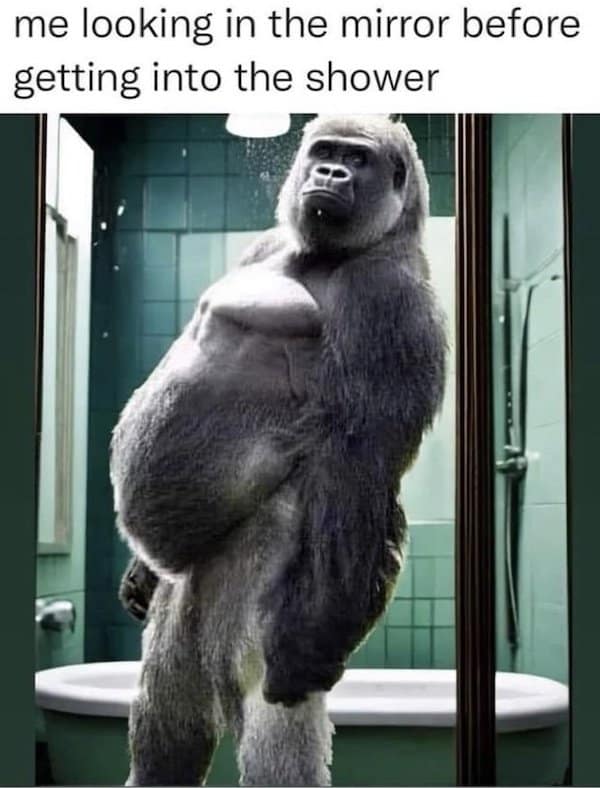 A funny meme showing a realistic gorilla standing on two legs looking in a bathroom mirror with the caption about looking at yourself before a shower.