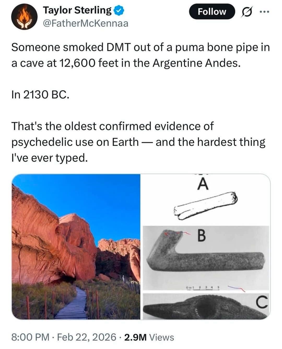 History tweet marveling at an ancient person smoking DMT from a puma bone pipe in a high altitude Argentine cave calling it the hardest thing ever typed
