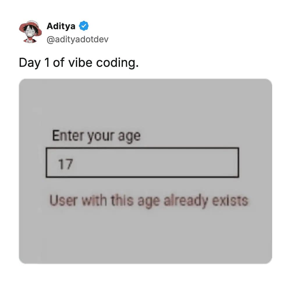 Programming joke tweet about vibe coding where entering age 17 gives an error saying user with this age already exists. Hilarious memes for developers.