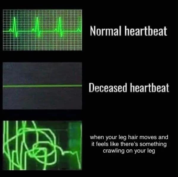 Heartbeat monitor chart showing flatline versus panic for leg hair sensation funny meme.