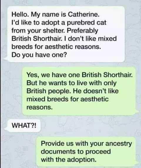 A hilarious meme text exchange where a shelter trolls a woman wanting a "British Shorthair" by asking for her ancestry documents.